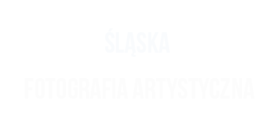 slaskaforografiaartystyczna.pl